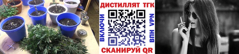 Дистиллят ТГК гашишное масло  Купить где  Кириши 